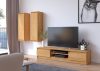 AKORD CLP 160 TV Szekrény Éger Matt