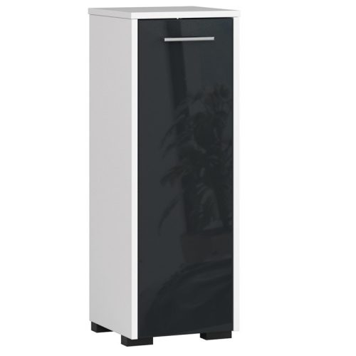 Álló Fürdőszobaszekrény Fin S30 1d Grafit Fényes