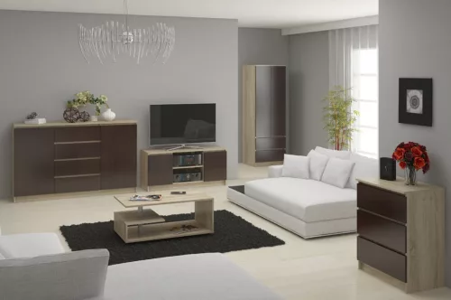 Star Szekrény S 60 cm 2 Ajtó 2 Fiók Sonoma / Wenge