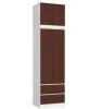 Szekrény Rátét S60 Star Fehér/wenge
