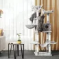   FEANDREA XXL Luxus Macskafa Világosszürke 164 cm Többszintes