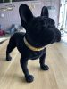 Richmond Dog Spike Francia Bulldog Dekoráció Gyanta Fekete Bársony