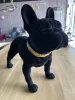 Richmond Dog Spike Francia Bulldog Dekoráció Gyanta Fekete Bársony