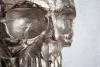 INVICTA Interior Skull Alumínium Fali Dekoráció Ezüst