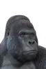 Kare Design XL Gorilla Műanyag Dekoráció Fekete 76cm