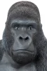 Kare Design XL Gorilla Műanyag Dekoráció Fekete 76cm