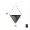 Umbra Trigg Geometrikus Fali Virágtartó Kerámia Fekete-Arany 470752-1137