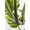 KARE Design Monstera Műnövény Dekoráció 110 cm