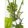 KARE Design Monstera Műnövény Dekoráció 110 cm