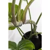 KARE Design Monstera Műnövény Dekoráció 110 cm