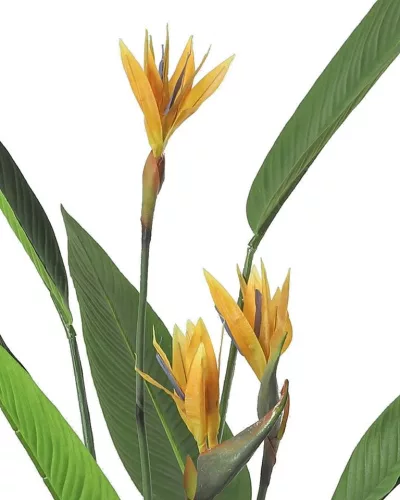 KARE Paradise Flowers Műnövény Paradicsommadár Virág 190 cm