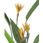 KARE Paradise Flowers Műnövény Paradicsommadár Virág 190 cm