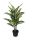 KARE Design Dieffenbachia Műnövény Dekoráció 100 cm