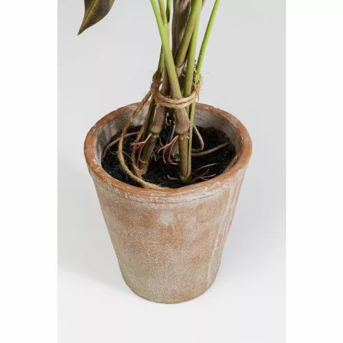 KARE dekoratív növény ALOCASIA 80 cm