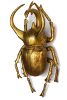 KARE Design Atlas Beetle Arany Fali Dekoráció
