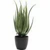 KARE Design Műaloe Dekoratív Növény 69 cm