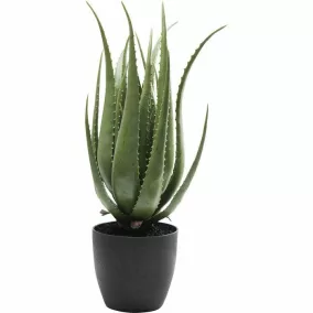 KARE Design Műaloe Dekoratív Növény 69 cm