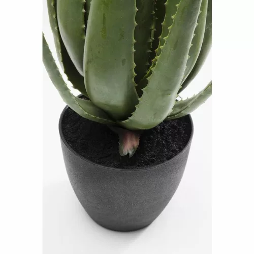 KARE Design Műaloe Dekoratív Növény 69 cm