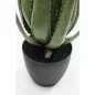 KARE Design Műaloe Dekoratív Növény 69 cm
