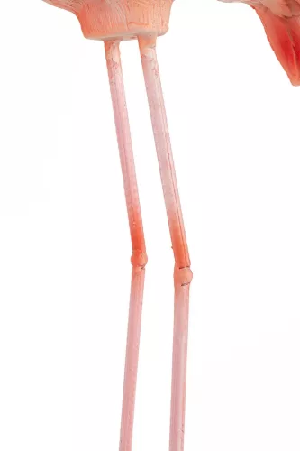 KARE Design Flamingo Road Kézműves Műgyanta Dekoráció Korall