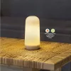 New Garden Candy Hordozható LED Lángeffektes Asztali Lámpa