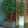 New Garden Palma 70 Napelemes LED Világító Virágcserép Fehér