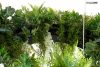 Moosee Gardens Wisteria 70 LED Függőlámpa Művirág Fehér-Zöld