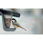 Birdyfeed Double Kétkamrás Madáretető Szürke Kőhatású 280mm