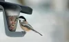 Birdyfeed Double Antracit Madáretető 280