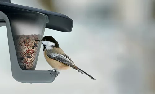Birdyfeed Double Antracit Madáretető 280