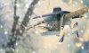 Birdyfeed Double Antracit Madáretető 280