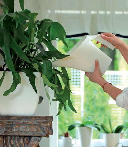 Coubi Ergonomikus Öntözőkanna Műanyag Fehér 2L csomag