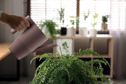 Ibis Modern Öntözőkanna Antracit 2L csomag