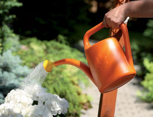 Koni Zsálya Öntözőkanna 4,5L Levehető Rózsával csomag