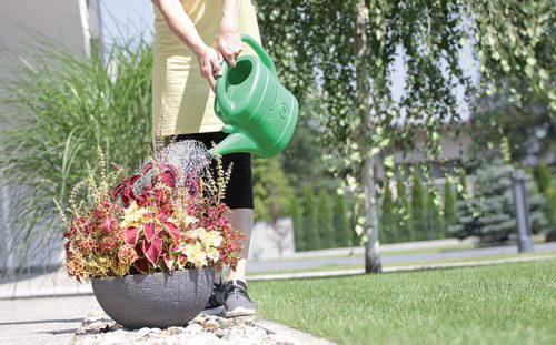 Prosperplast Spring Műanyag Öntözőkanna Zöld 14L csomag