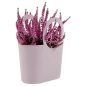 Lily Táska Műanyag Világos Bogyós 48 cm Dekoratív