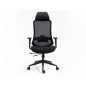 Ergon Professional Hálós Ergonomikus Irodai Szék Fekete Multiblock